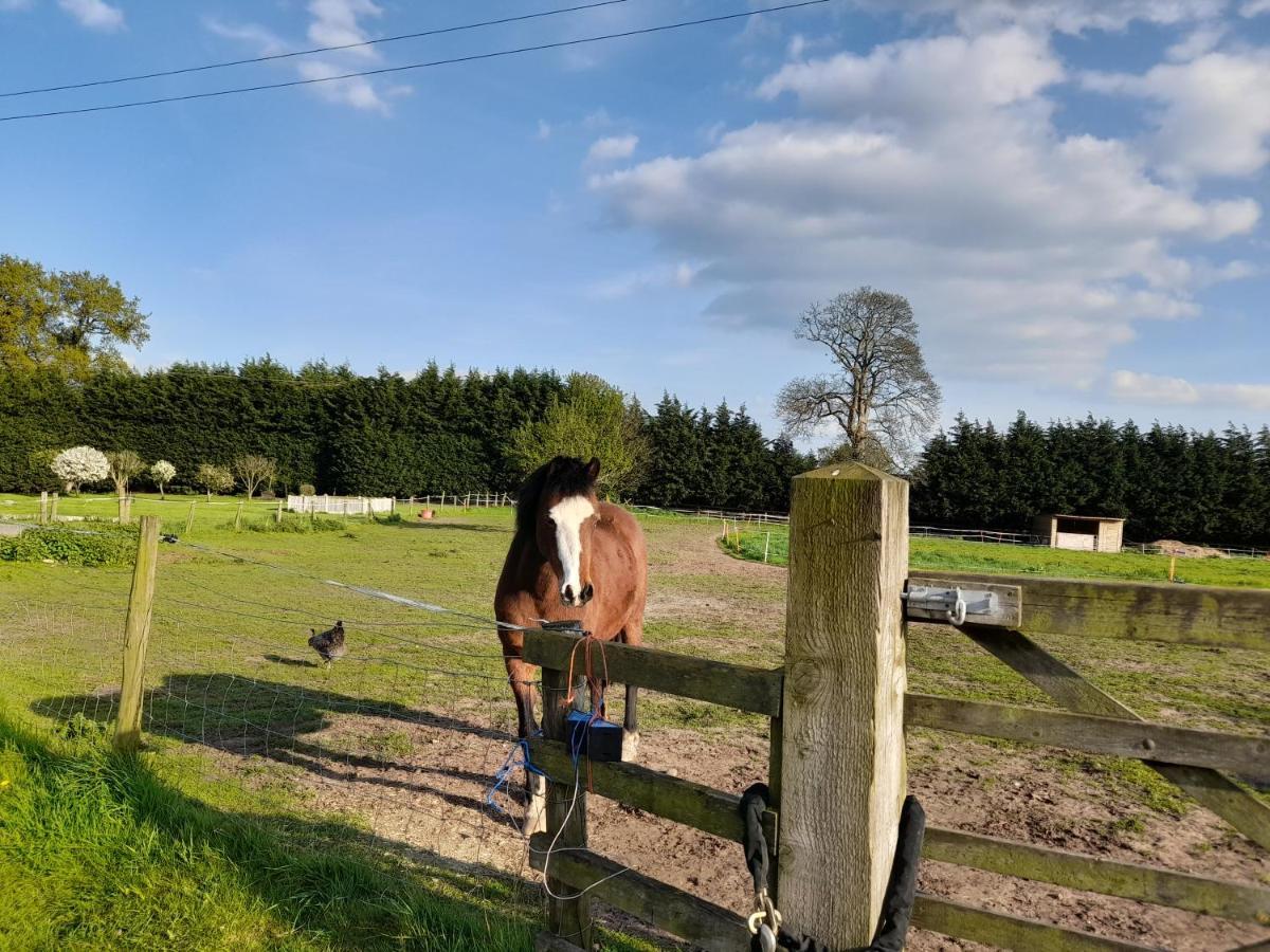 Mile House Barn Bed & Breakfast ナントウィッチ エクステリア 写真